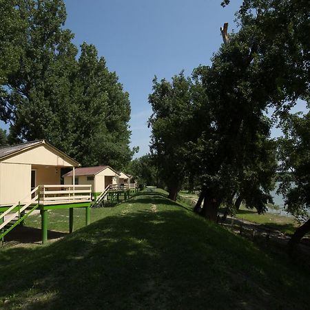 Hotel Bungalow Park Szentendre Exterior foto