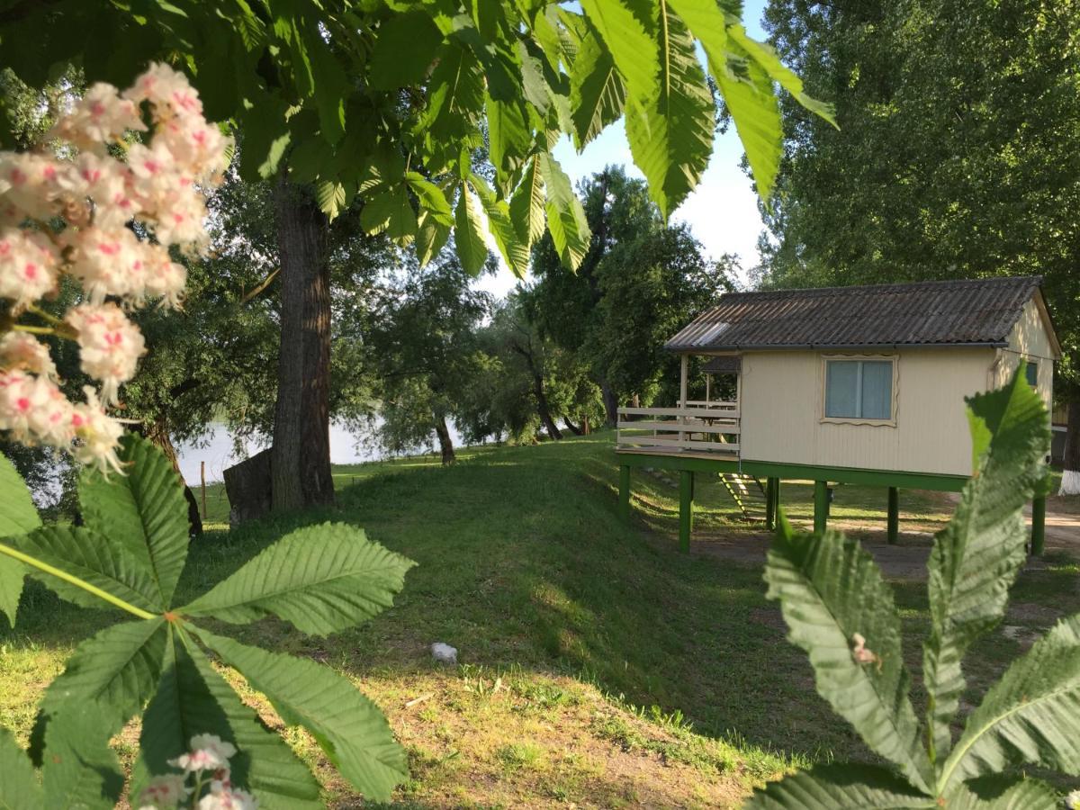 Hotel Bungalow Park Szentendre Exterior foto