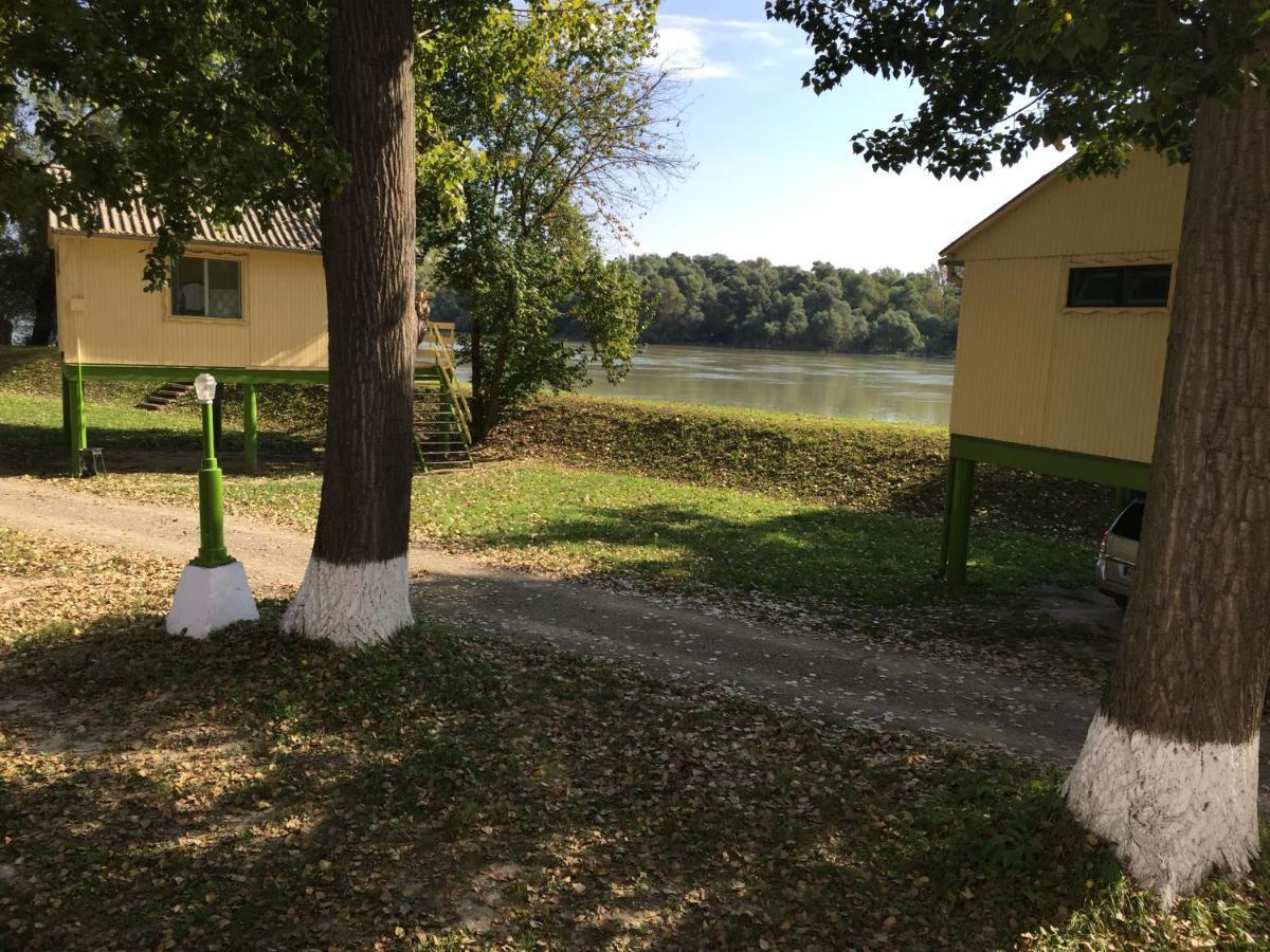 Hotel Bungalow Park Szentendre Exterior foto